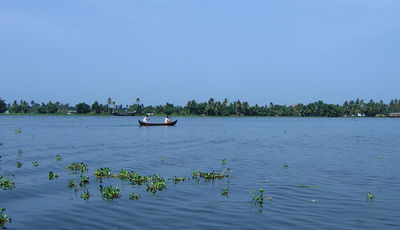 Vembanad Lake in kumarakom