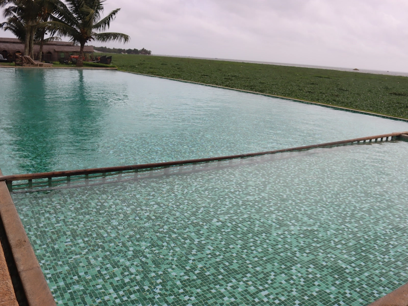 Scenic view of infinity swimming pool overlooking Vembanad Lake at The Zuri Kumarakom resort Kerala