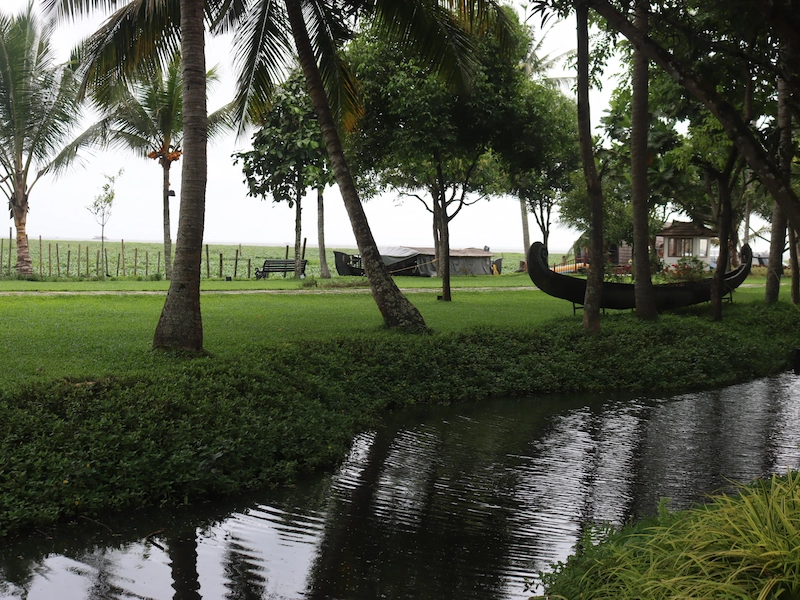 Houseboats floating on serene Vembanad Lake backwaters near palm fringed shores of Kumarakom Kerala