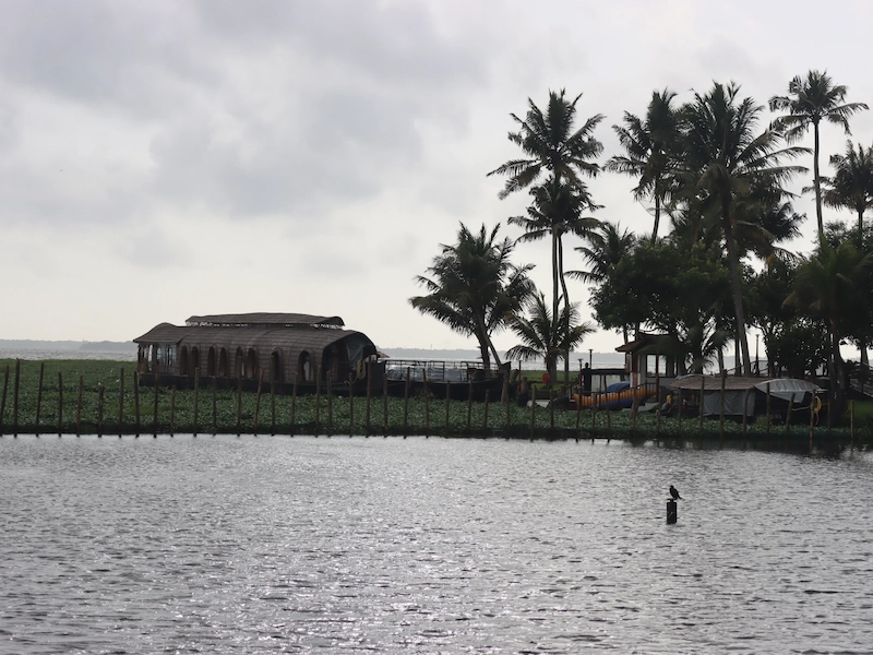 Quiet backwaters and houseboat moored along the palm-lined shore of Vembanad Lake in Kumarakom