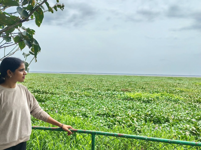 Woman standing along green water weed growth on Vembanad Lake backwaters in Kumarakom